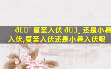 🌴 夏至入伏 🌸 还是小暑入伏,夏至入伏还是小暑入伏呢
